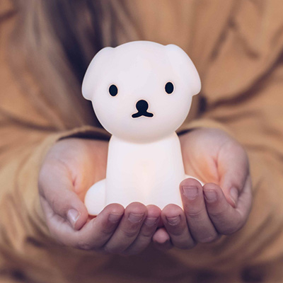 vanthoeftverlichting-voorburg-mrmaria-boris-bundle-of-light-nachtlampje-batterij