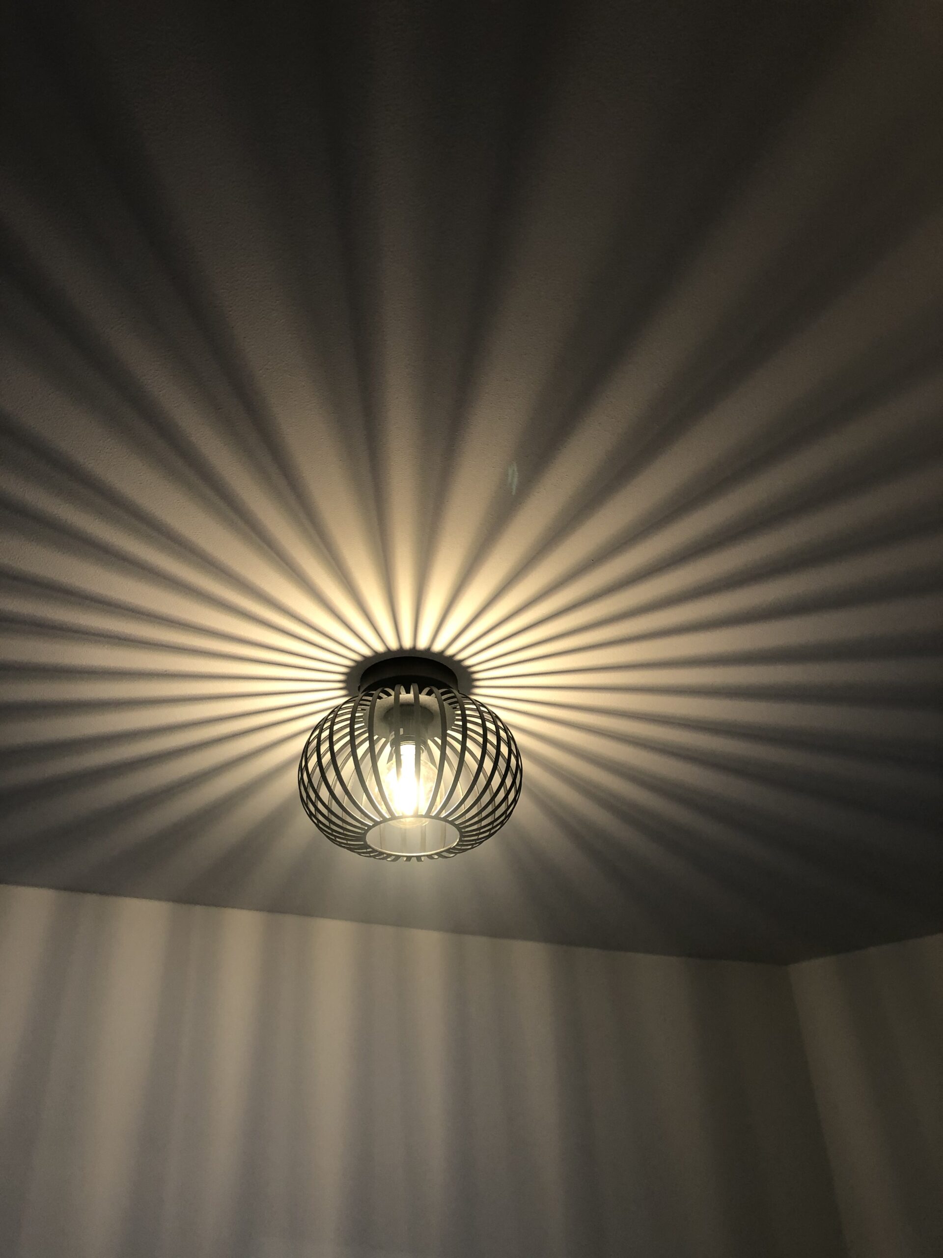 vanthoeftverlichting-voorburg-hanglamp-aglio-led-freelight