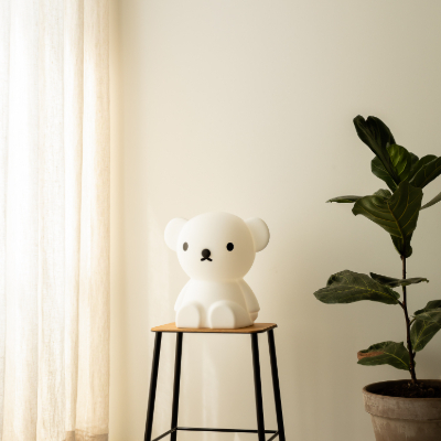 vanthoeftverlichting-voorburg-mrmaria-boris-starlight