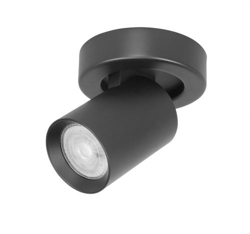 vanthoeftverlichting-voorburg-plafondlamp-spot-oliver