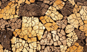 vanthoeftverlichting-voorburg-villaflor-tafellamp-glass-black-gold-donut