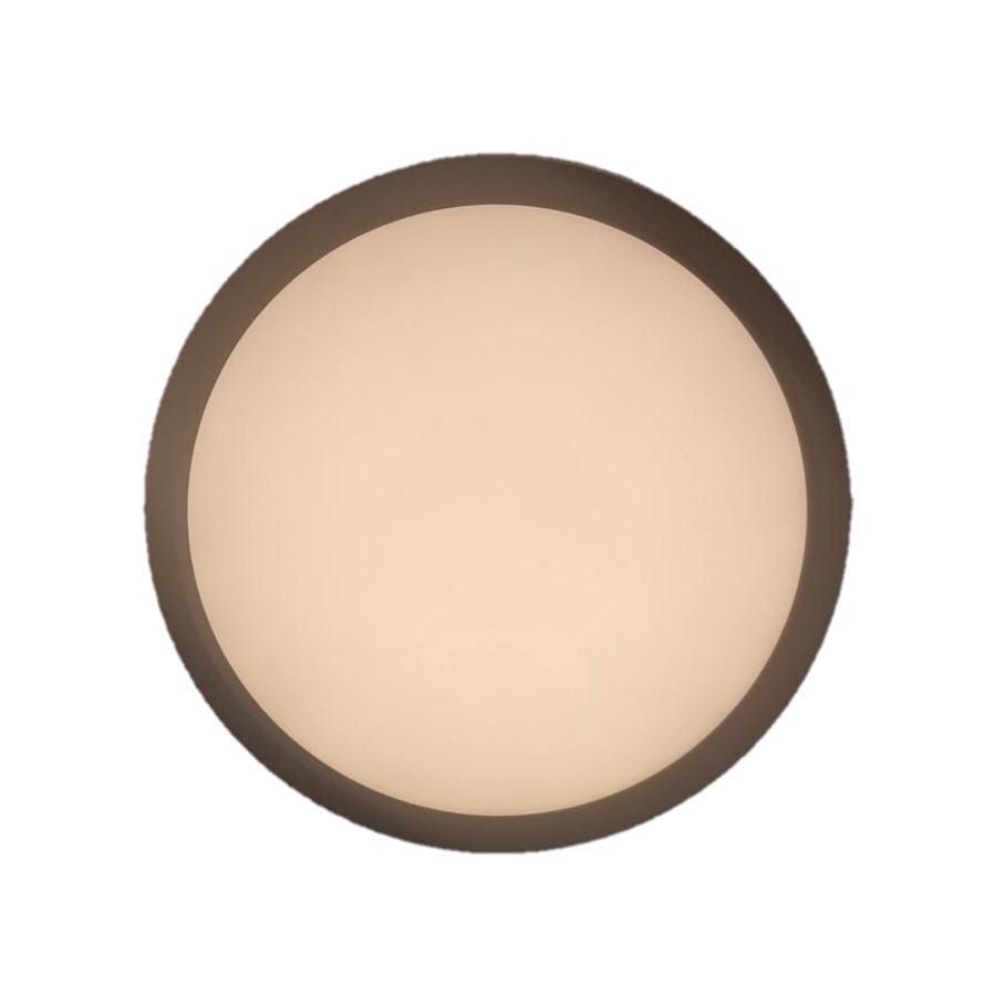 vanthoeftverlichting-voorburg-plafondlamp-3standen-geheugen-eth-ip44