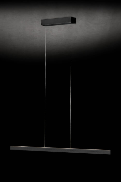 vanthoeftverlichting-voorburg-hanglamp-avior-holtkotter-dtw