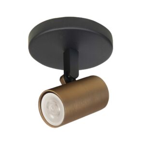 vanthoeftverlichting-voorburg-highlight-spot-piccolo-led